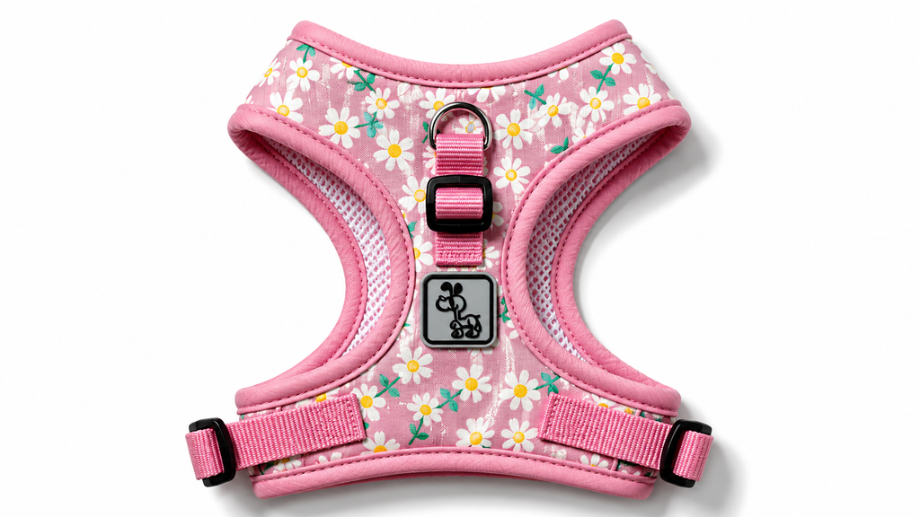 Pink Floral Dog Harness with Adjustable Straps & Breathable Mesh Design