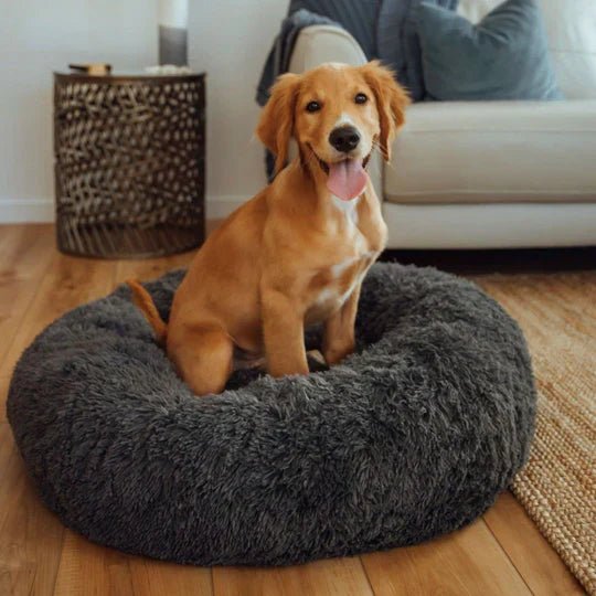 Calming Dog Bed & Weighted Blanket Bundle - Image 6