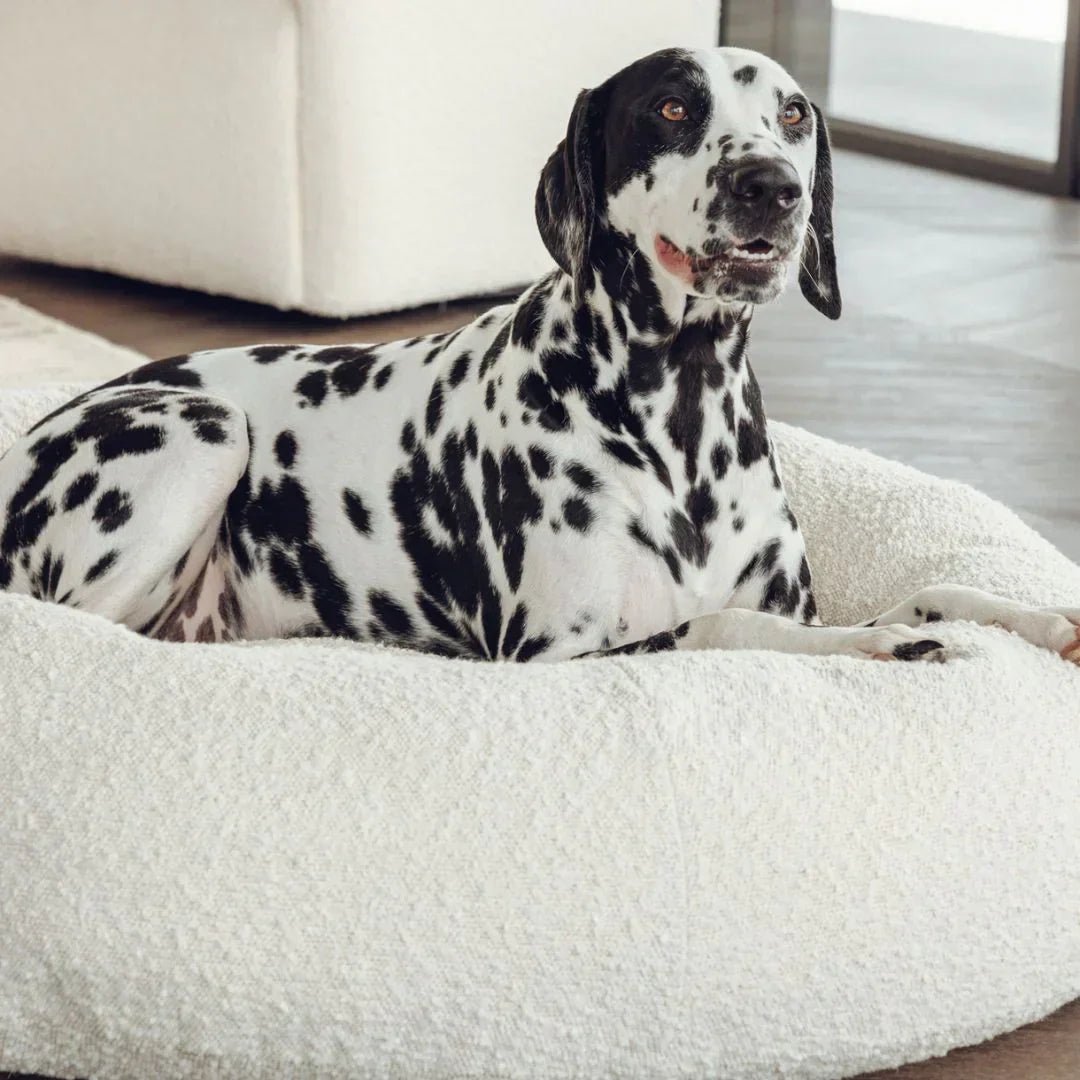 Luxury Boucle Dog Bed - Image 9