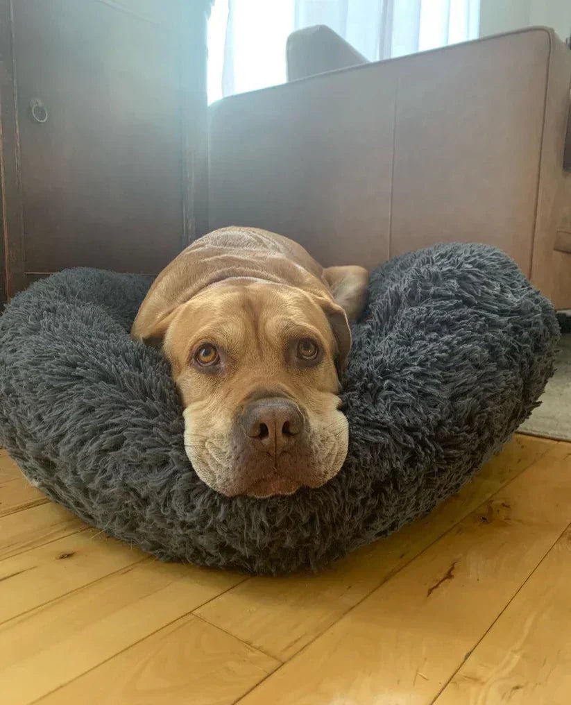 Calming Deep Sleep Pet Bed - Image 3